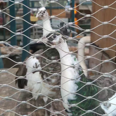 316 Stainless Steel Flexible Cable Mesh Netting for Bird Aviary