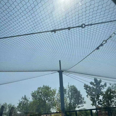 50mm Stainless Steel Wire Rope Mesh for Zoo Aviary Netting - 304/316 Grade