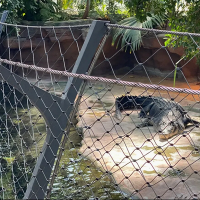 Flexible Stainless Steel Wire Ferrule X Tend Cable Mesh  Net for Zoo Bird Aviary Net