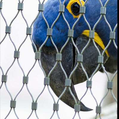 Corrosion Resistant Stainless Steel Wire Rope Mesh for Fall Prevention with Customizable Size