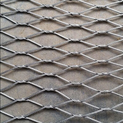 AISI316/316L Stainless Steel Rope Mesh with 50mm to 200mm Hole Size for Wire Rope Plant Trellis and Protective Net
