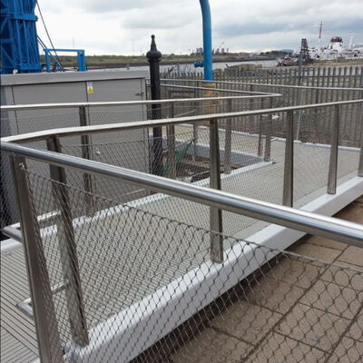 Custom Size Corrosion Resistant Stainless Steel Wire Rope Plant Trellis for Fall Prevention and Vertical Green Walls