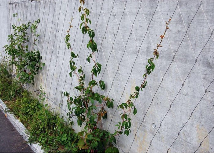 Eco - Friendly Garden Wire Wall Trellis Ferruled / Knotted Anti - Corrosive Mesh