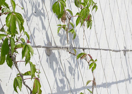 SS 316 Vogelschachtdrahtnetz für Vögel - Zaun aus Edelstahl