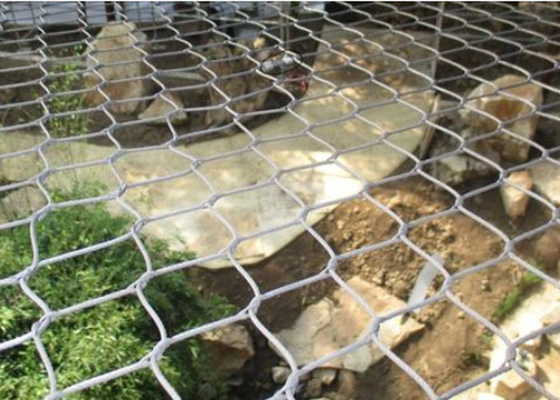 Hohe Haltbarkeit SUS316 schloss Zoo-Draht Mesh Animal Wire Mesh ein