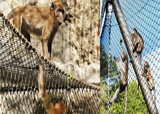 1.5mm Drahtdurchmesser-Edelstahl-Vogel-Filetarbeits-Twill-Webart-Karton-Kasten-Verpacken