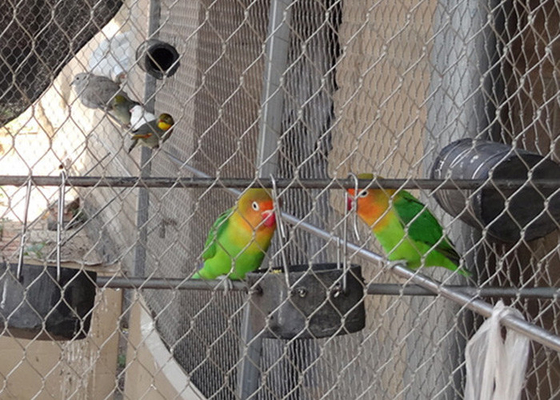 Silberdraht leichte Vogelhalle Netze mit 30 mm X 30 mm Öffnung