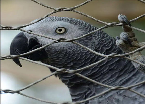Polsterte Oberflächen Zoo Drahtnetz mit 60 Grad Diamantnetz und Edelstahldrahtseil