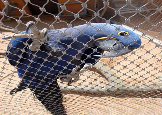 Anpassungsfähiges AISI 316 304 Vogelarm aus Edelstahl für Vogelarmen