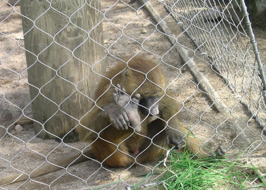 Hochfestes zoologisches Tiereinschließungs-Maschen-3.0mm geknotetes Seil-Netz