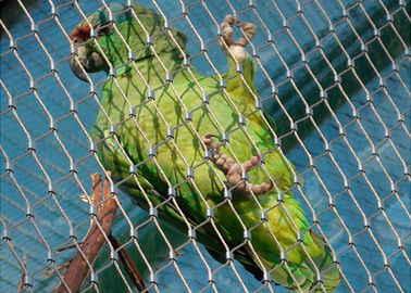 Buchsenversehene Edelstahl-Vogel-Vogelhaus-Maschendraht-Filetarbeit