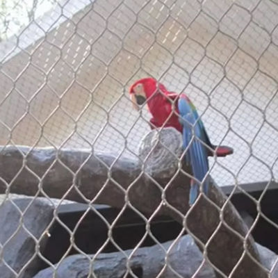 Handgewebte flexible Edelstahl Zoo-Drahtnetz Kabelnetz Größeres Loch