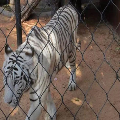 Flexible Stahldraht Schutzgitter für Zoo-Tiere mit Ferrurierung oder Knoten