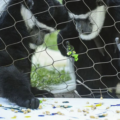 3mm Seildrahtnetz für Zoo Schutzkäfige Garten Sicherheit Außenzaun