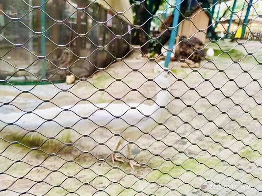 Seil Zoo Zaunnetz aus Edelstahl Seil Vogel Hühnernetz
