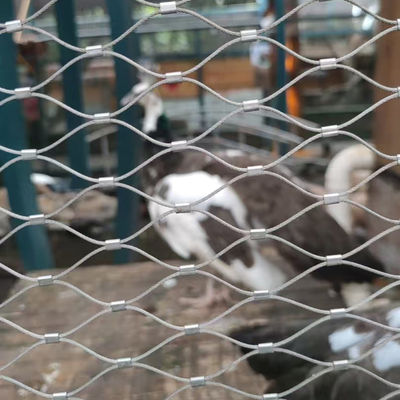 316 Seil Zoo Zaunnetz Edelstahl Flexible Vogelgarten Drahtnetz