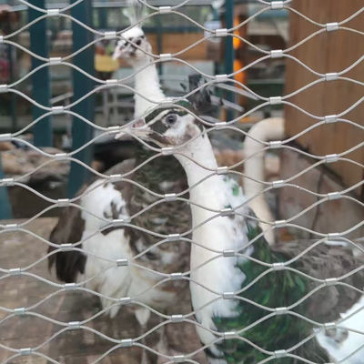 Flexible Drahtseilnetze für Zoo-Gehege