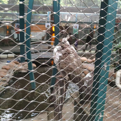 SS304 SS316 Edelstahl Seilnetz Zoo Sicherheitskabelnetz