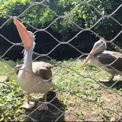Ferrule Drahtseil Seil Edelstahl Kabelnetz für Zoo Vogel Aviary Netz