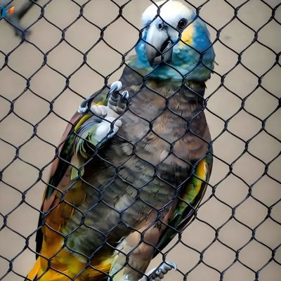 SS 304 316 Zoo Zaunnetz Flexibles Kabeldrahtnetz für Vogelzucht