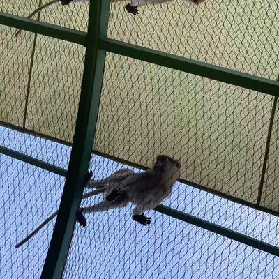 Edelstahl Gewebt Draht Seilnetz Vogelnetz Vogelgarten Zoo Gehege Hangschutz