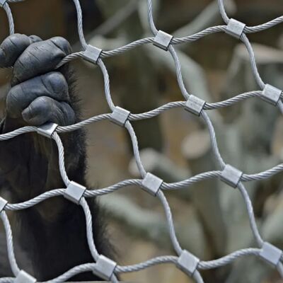 Robustes Kabelnetz aus Edelstahl für Sicherheitsbarrieren