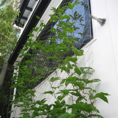 Edelstahl-Drahtseil Mesh For Green Facade der Eco-Grün-Wand-1.2mm