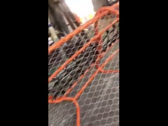 Zäune aus Drahtseilnetzen