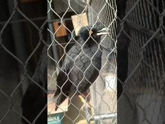 Langlebige, weiche Hülsen-Art, flexible Metall-starke Edelstahl-Knoten-Seilnetz