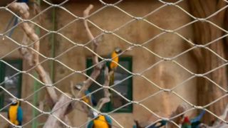 Wie sieht ein geflochtenes Drahtseilgeflecht aus Edelstahl aus?